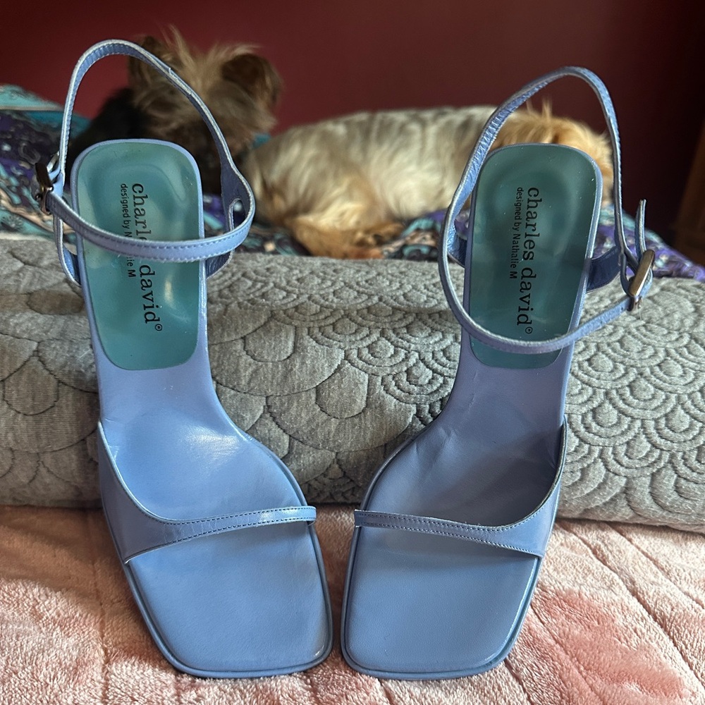 Charles David Dominoes Heels – Sculptural Toe Strap – Blue Lazulita Leather 6.5
